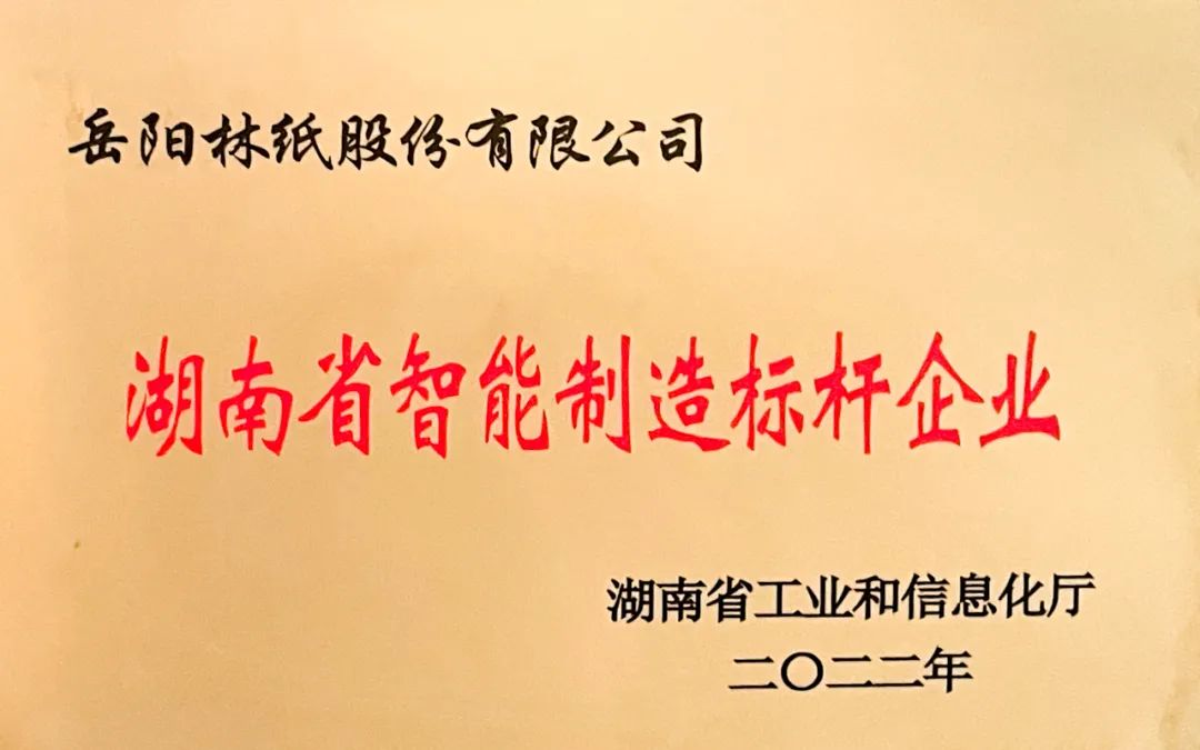 湖南省智能制造标杆企业