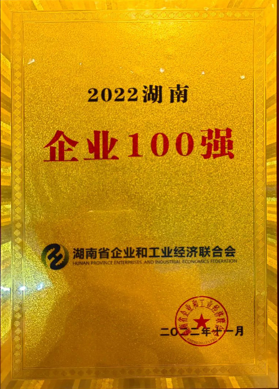 2022湖南企业100强