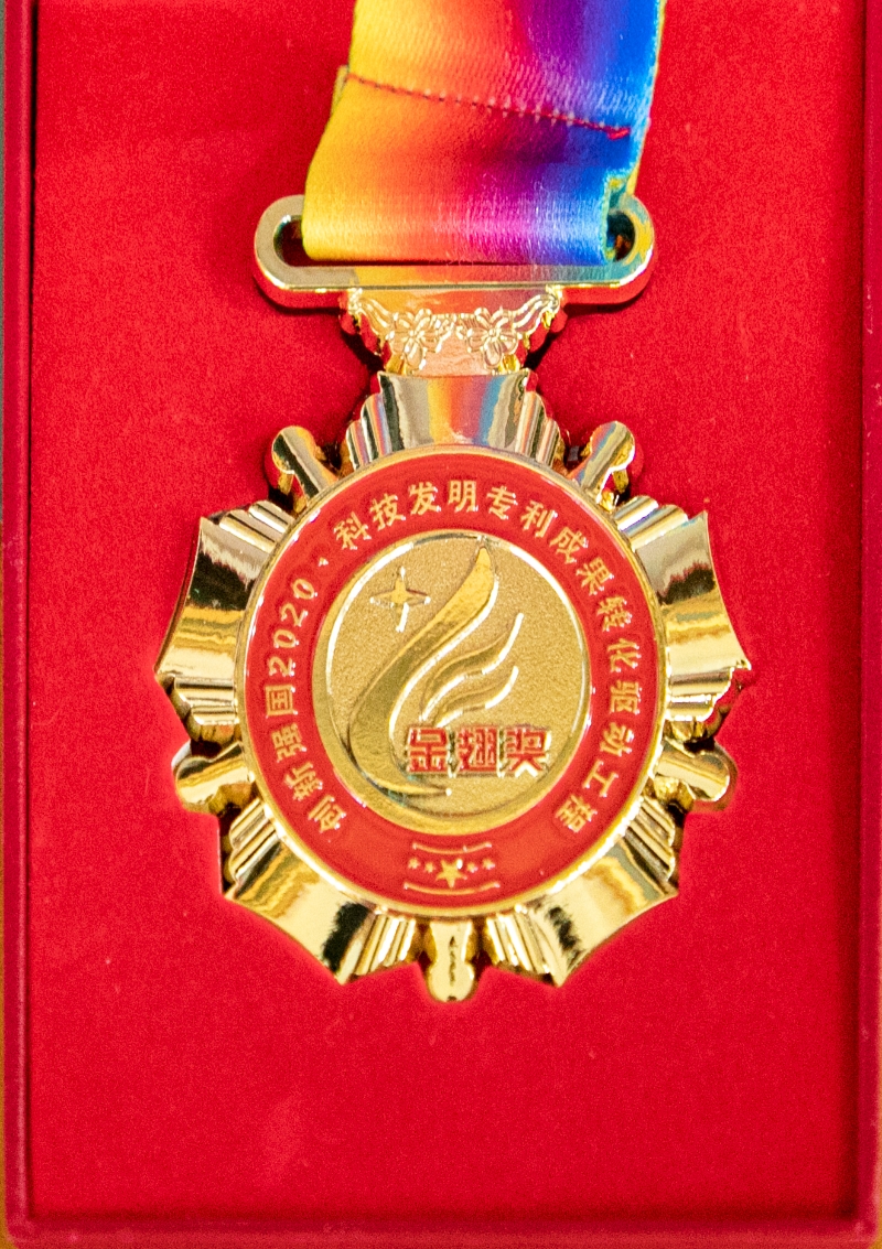 创新 强囯 2020 科技发明专利成果转化驱动工程金翅奖